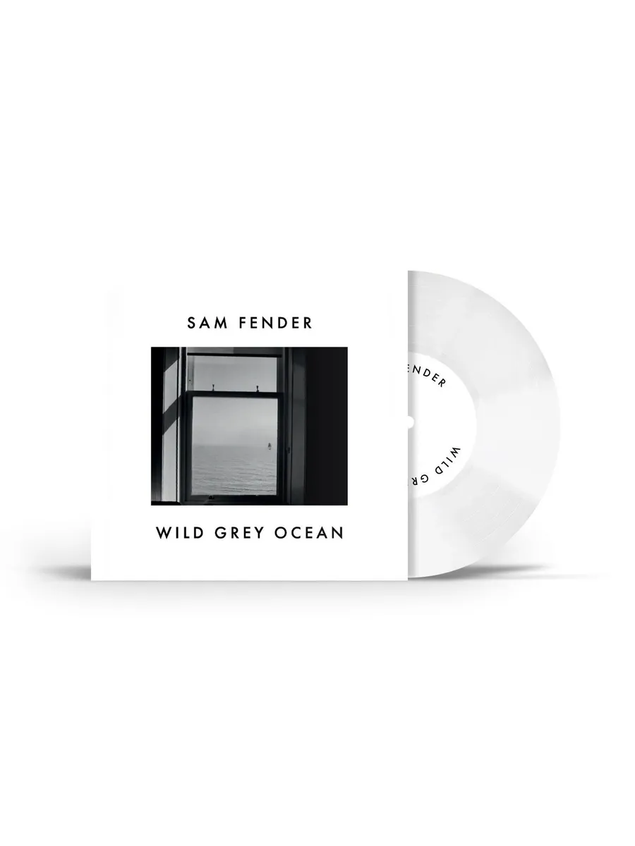 Sam Fender - Wild Grey Ocean / Little Bull Of Blithe - Vinilo 7 ...